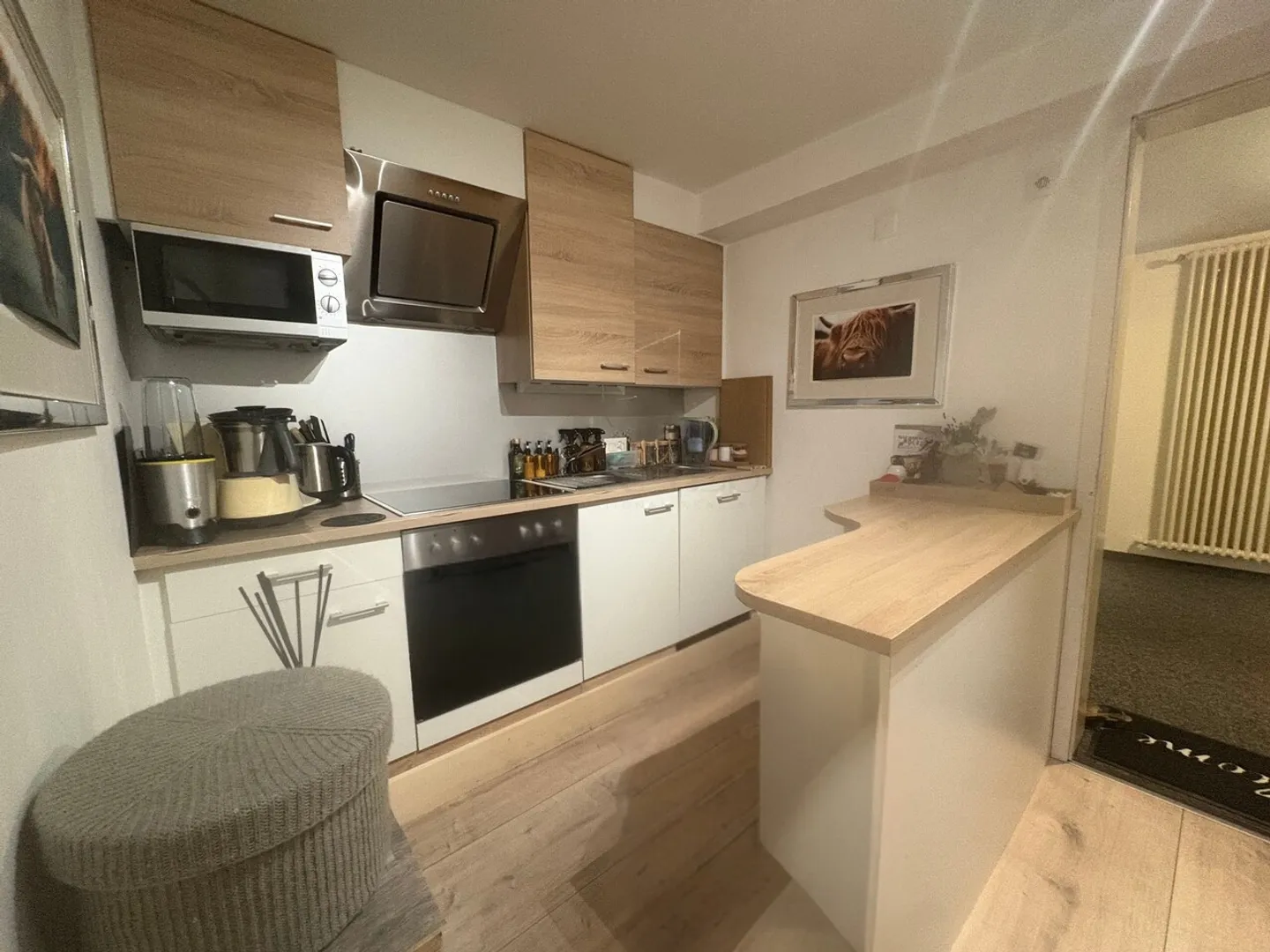 Bright studio with terrace - Photo 2 of 6