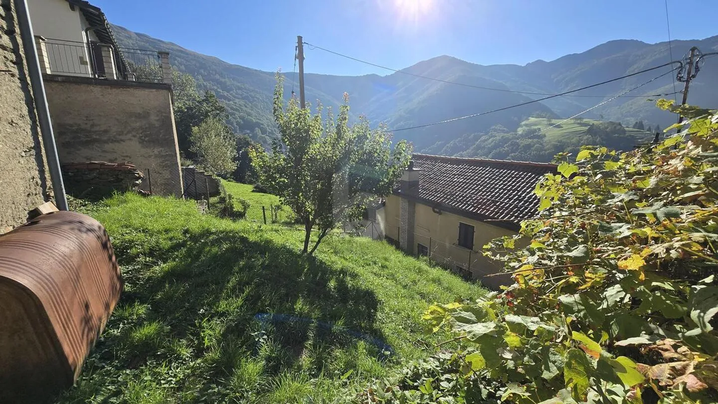 SOLEGGIATA CON GIARDINO - Foto 2 di 4