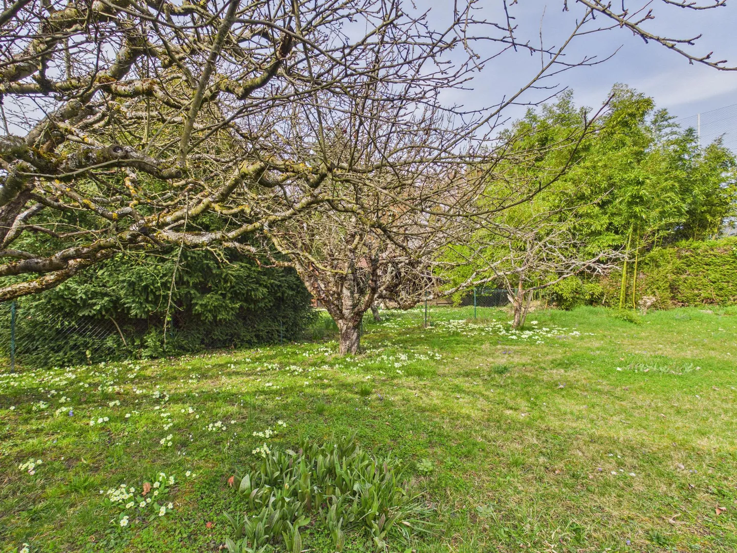 Single house for sale - Photo 2 of 2