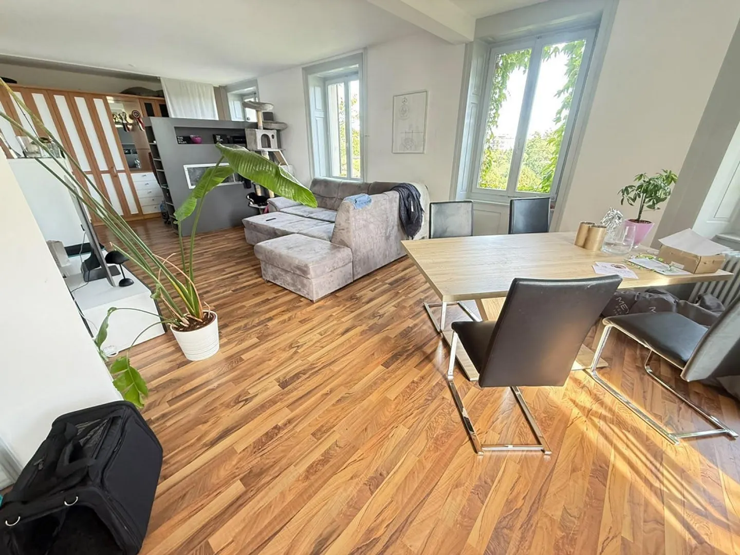 3.0 Room Apartment in Schaffhausen - Photo 2 of 9