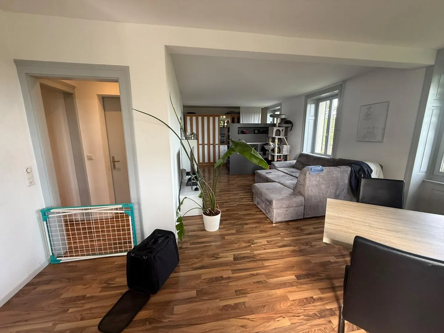 3.0 Room Apartment in Schaffhausen - Photo 3 of 9