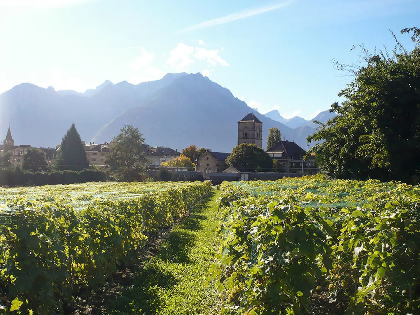 5.5-room house - Photo 3 of 3