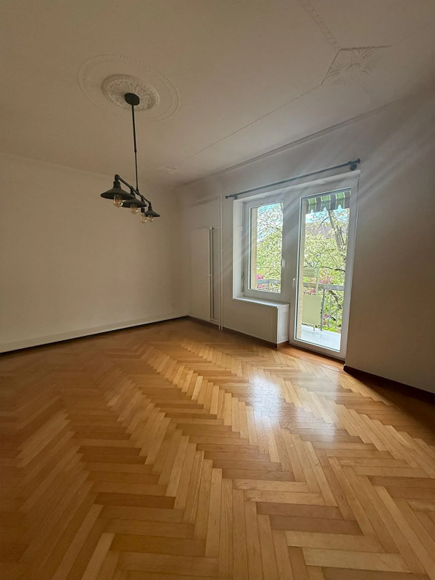 Stylish old apartment with herringbone parquet & stucco ceilings - Photo 1 of 10