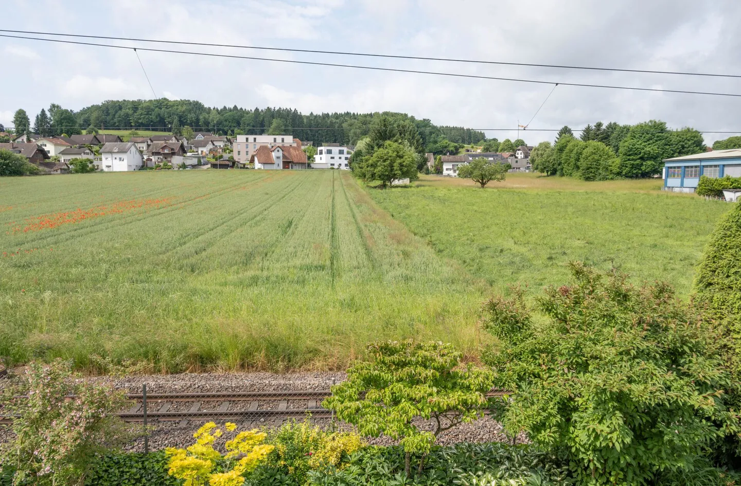 Ampia casa unifamiliare con piscina e giardino paradisiaco a Roggwil - Foto 17 di 33