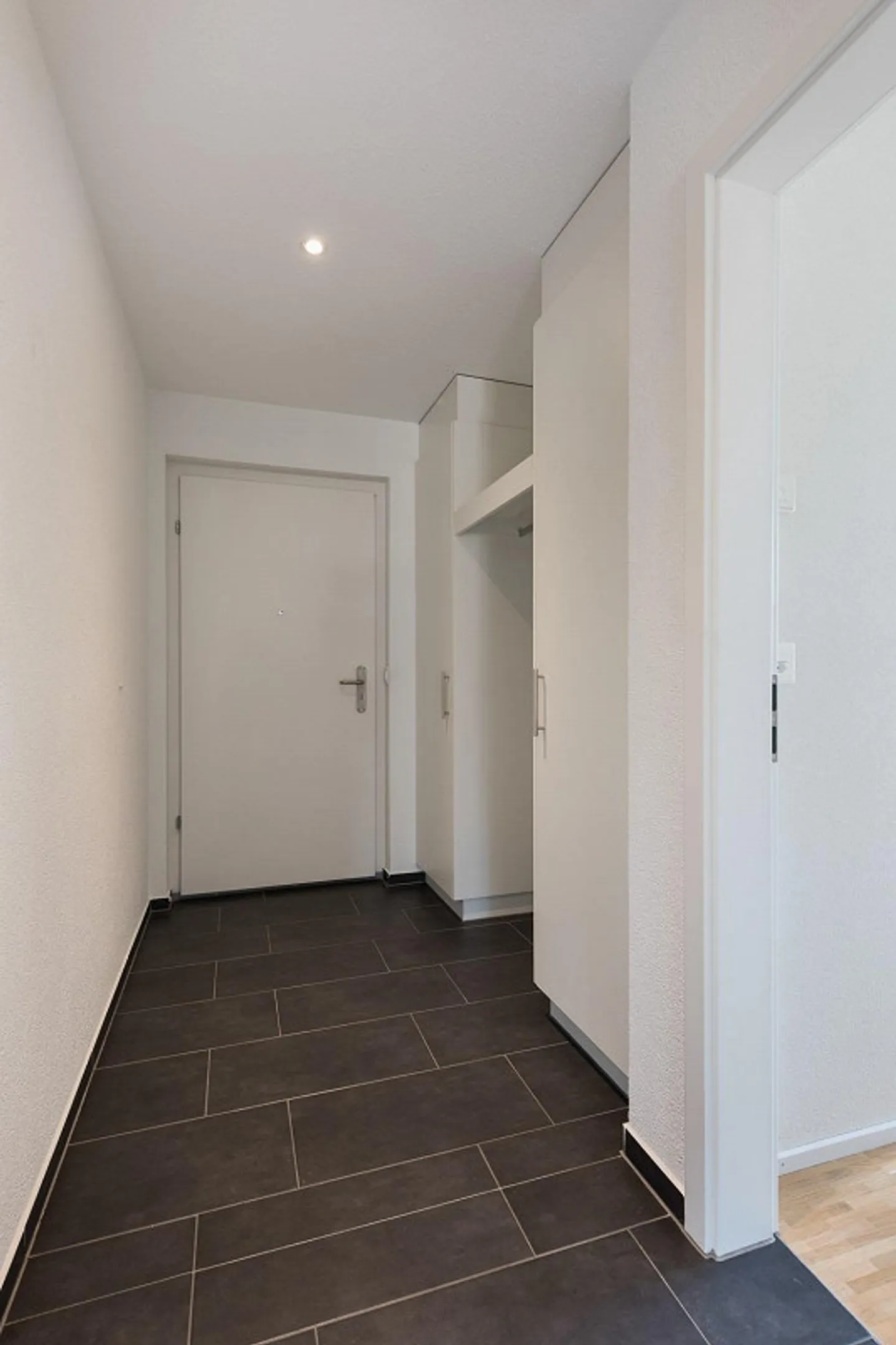 Beautiful corner apartment on the ground floor seeks new tenant from 01.07.2026 - Photo 7 of 11