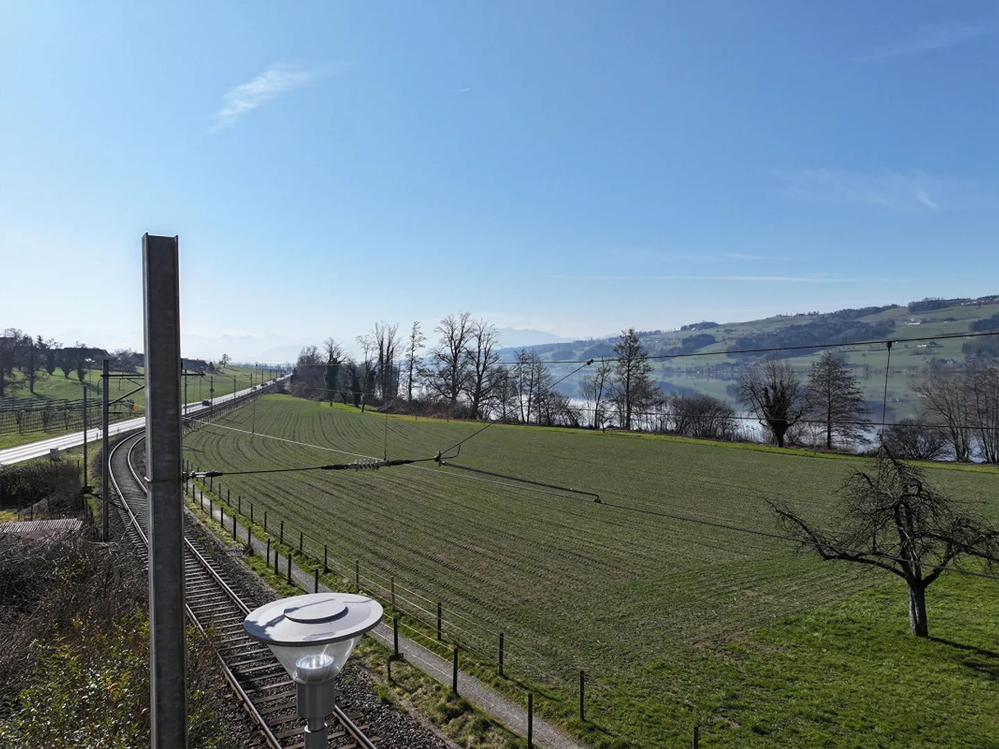 Unmistakably Individual: "Turmfalke" at Lake Baldegg, Gelfingen - Photo 5 of 5