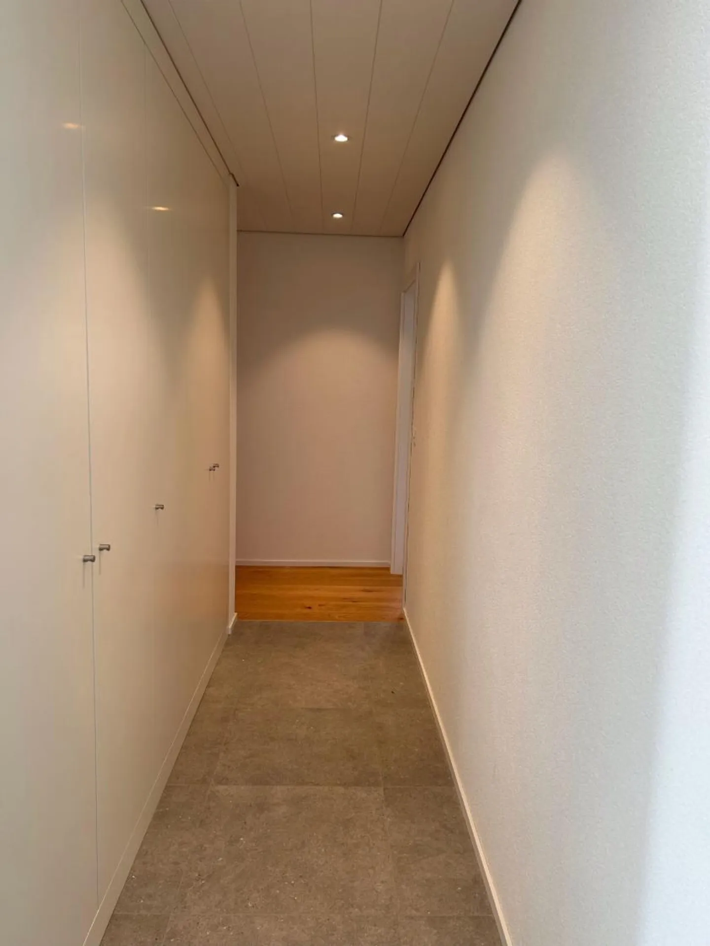 Superbo attico di 4,5 stanze con vista lago all'orizzonte - Foto 5 di 10