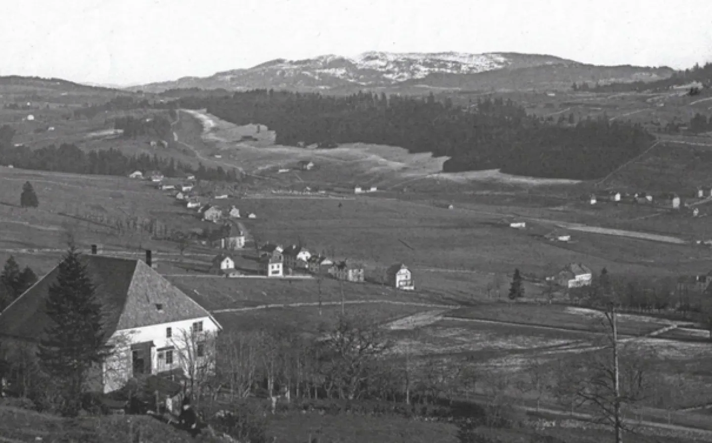 La Chaux-de-Fonds, magnifique appartement de 3 pièces dans un manoir - Photo 19 sur 19