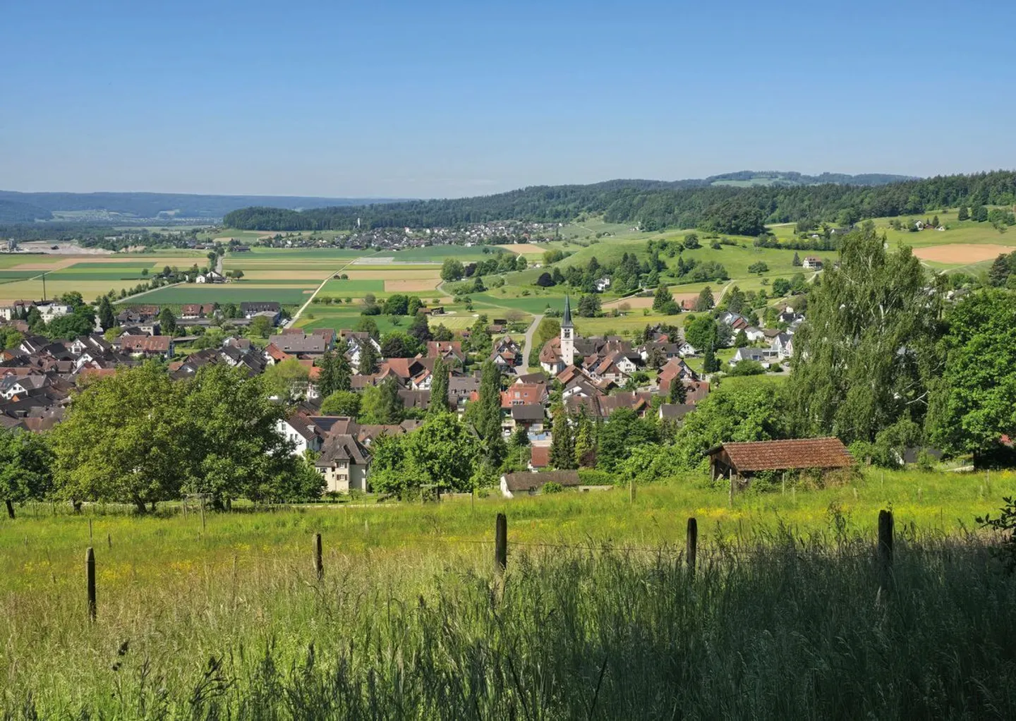 Vivere in una casa unifamiliare - quartiere da sogno a Rafz - nel Hegidörfli! - Foto 3 di 10