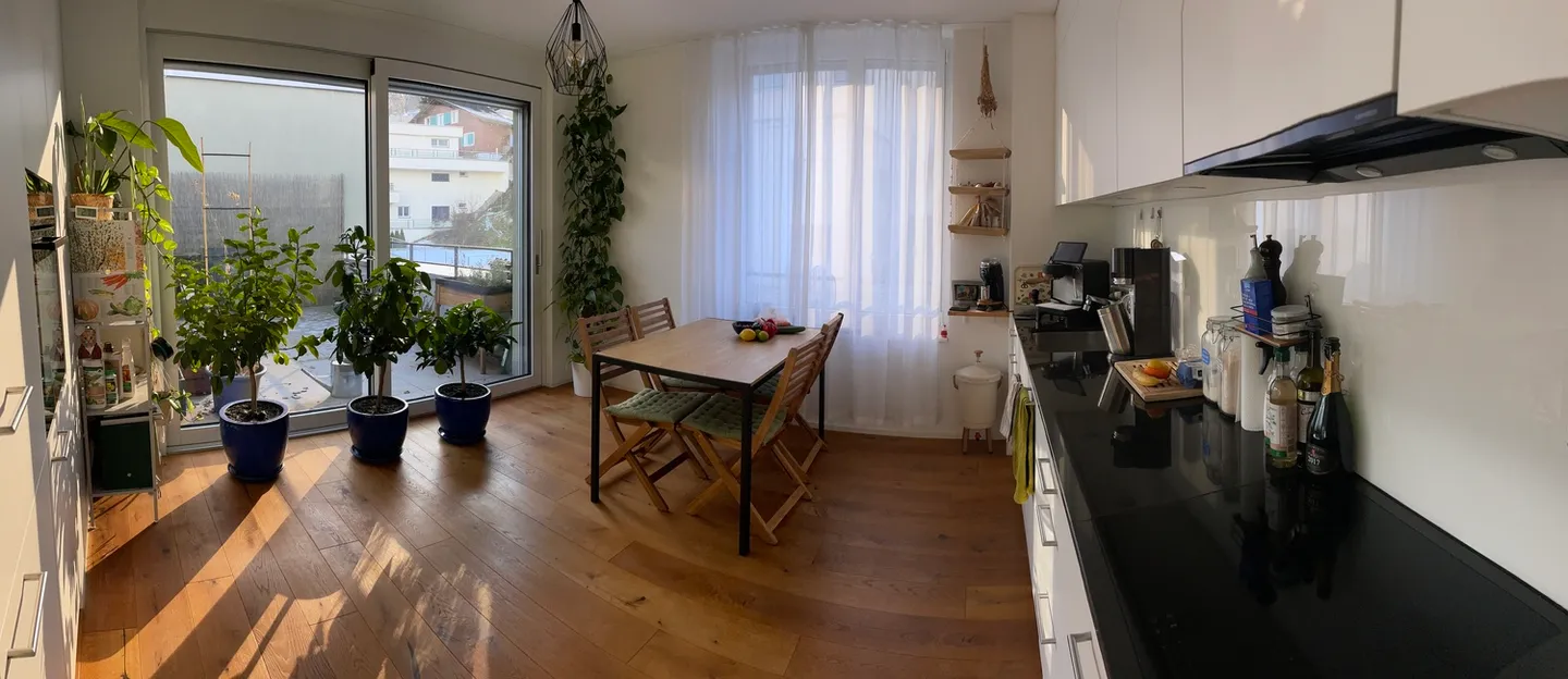 APPARTAMENTO ATTICO 3½ STANZE A KRIENS (LU), ARREDATO, TEMPORANEO - Foto 3 di 10