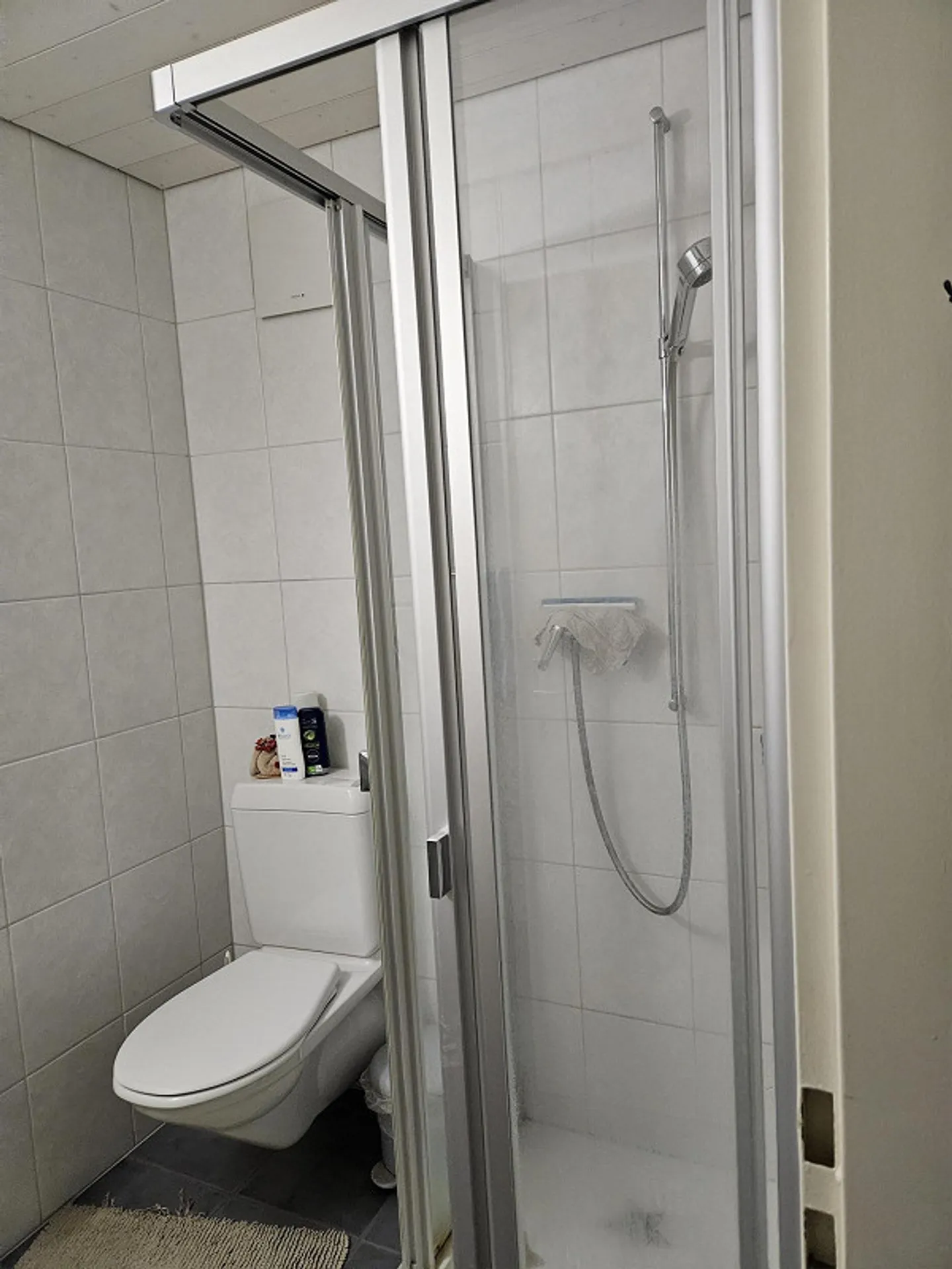 2 1/2 Room Apartment - Photo 4 of 9