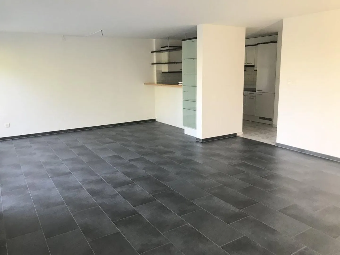 Bright and spacious apartment with lake view - Photo 3 of 12