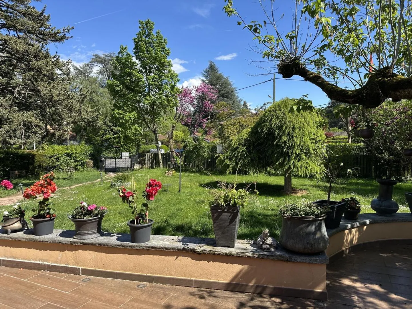 Villa indipendente in un bellissimo parco - Foto 3 di 11