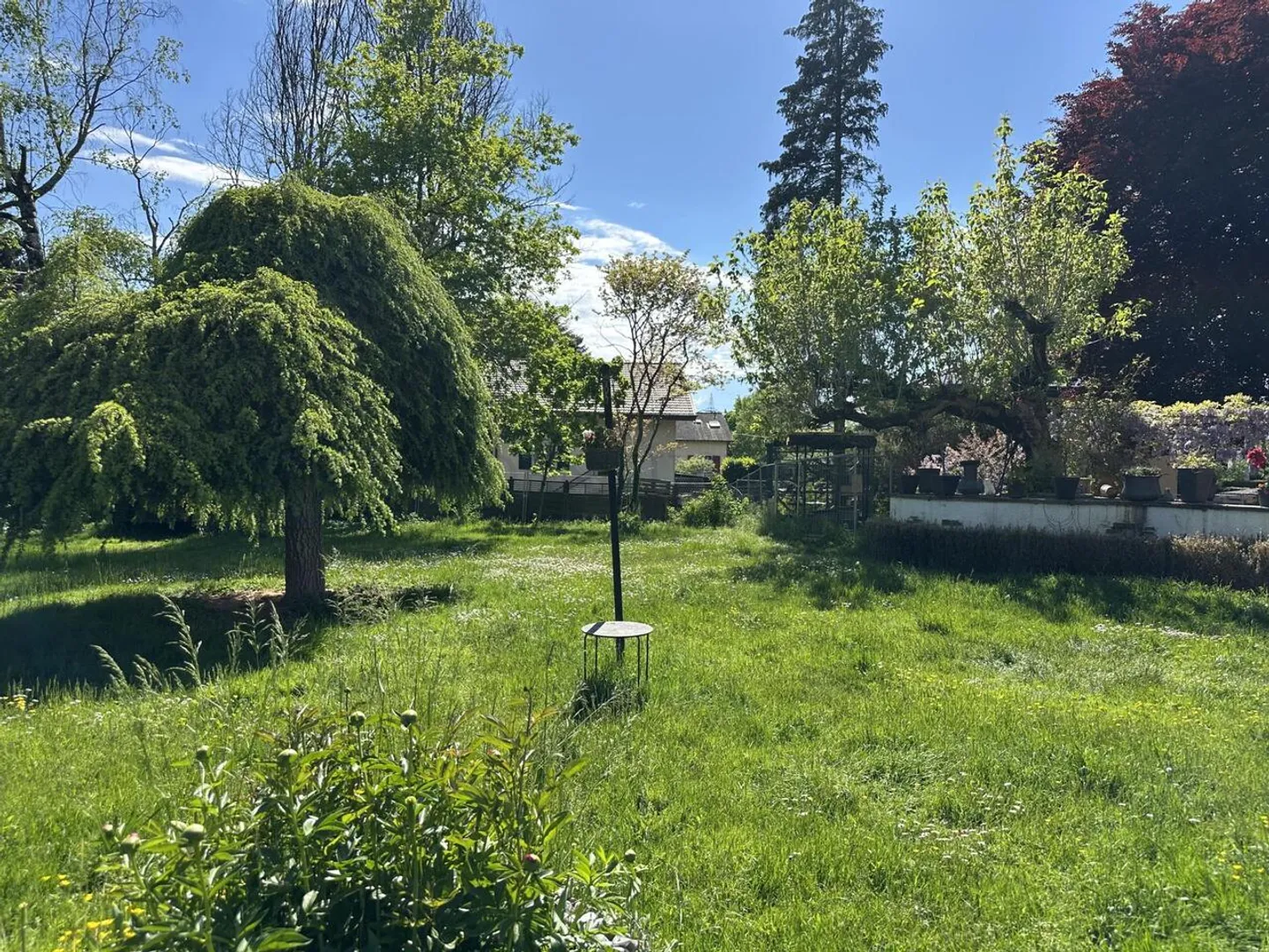 Villa indipendente in un bellissimo parco - Foto 4 di 11
