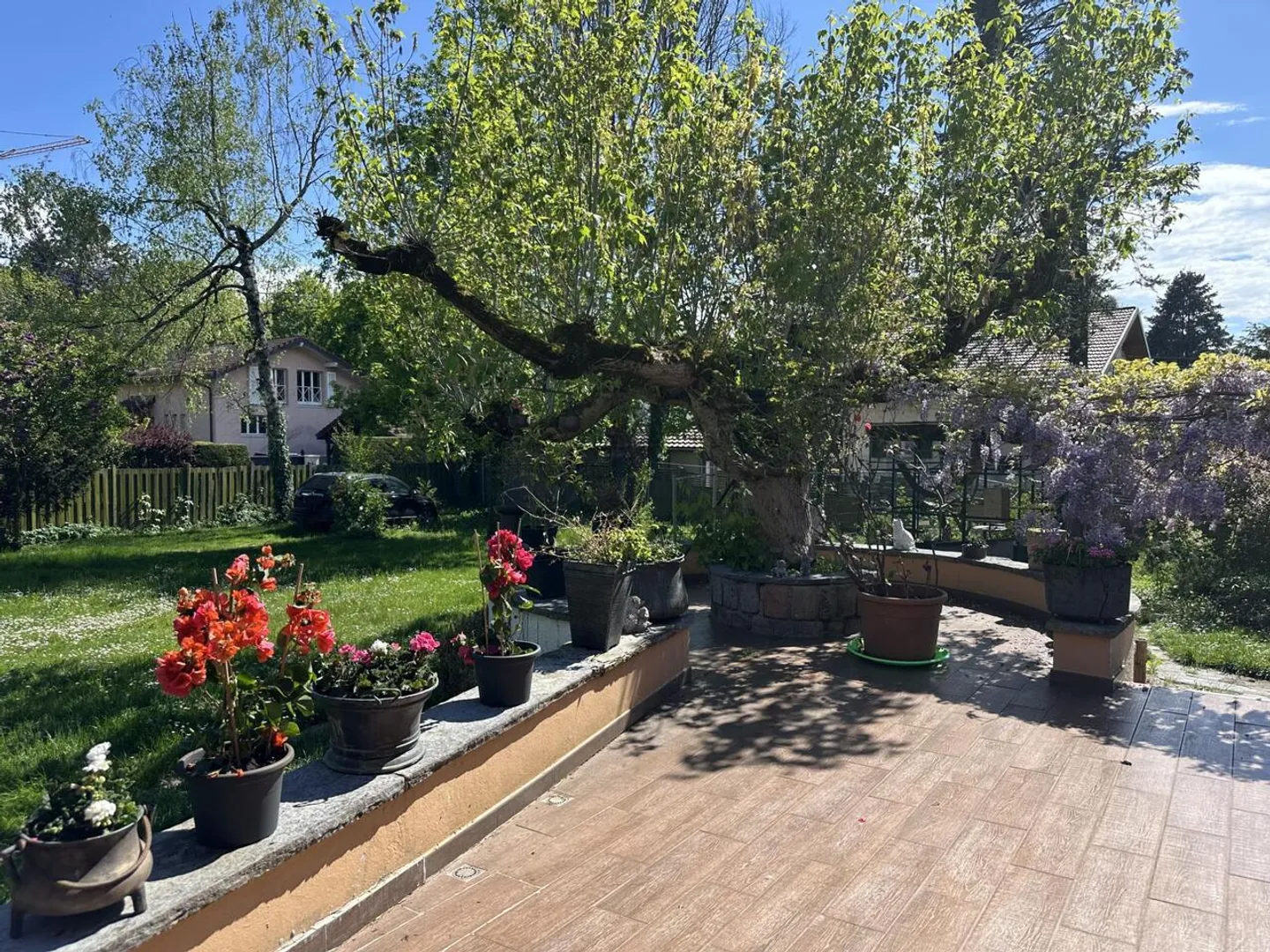 Villa indipendente in un bellissimo parco - Foto 5 di 11