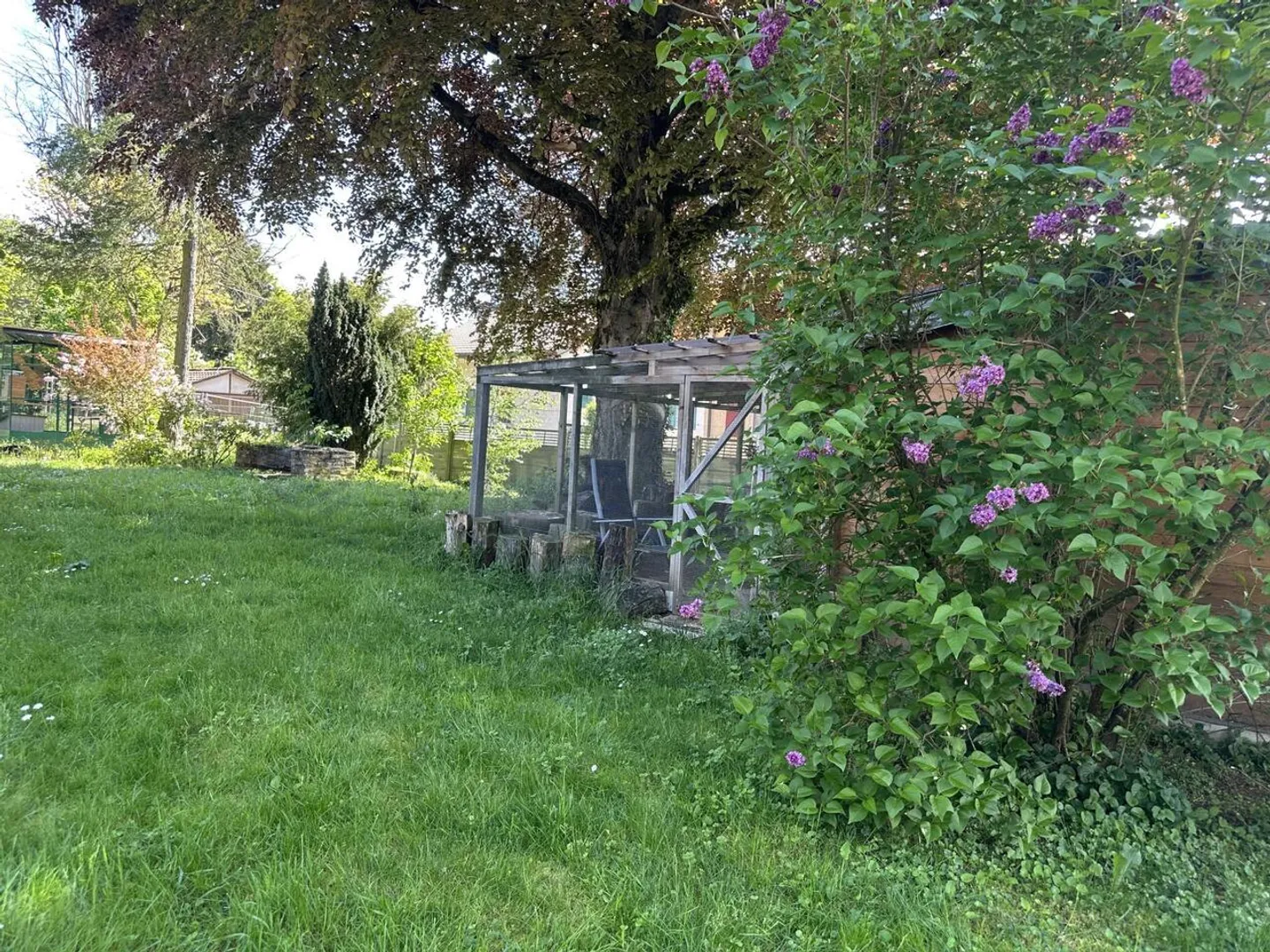 Villa indipendente in un bellissimo parco - Foto 9 di 11