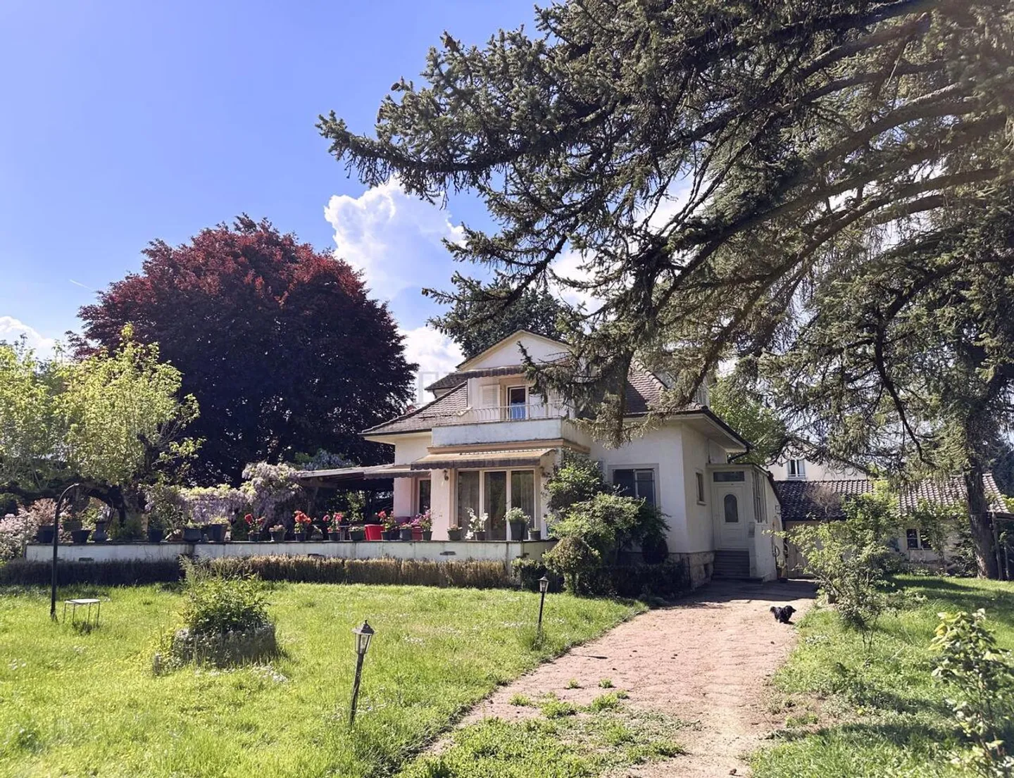 Villa indipendente in un bellissimo parco - Foto 10 di 11