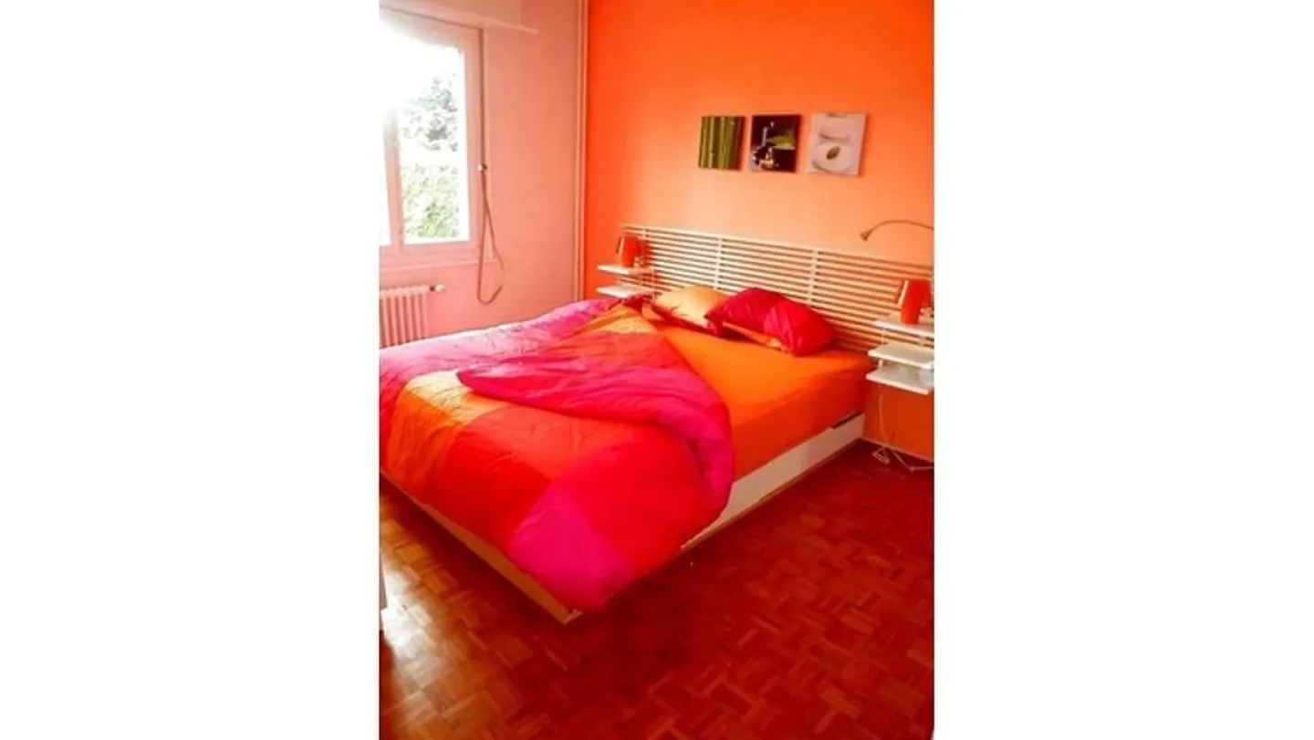 APPARTEMENT 2½ PIÈCES À VERSOIX (GE), MEUBLÉ - Photo 5 sur 9