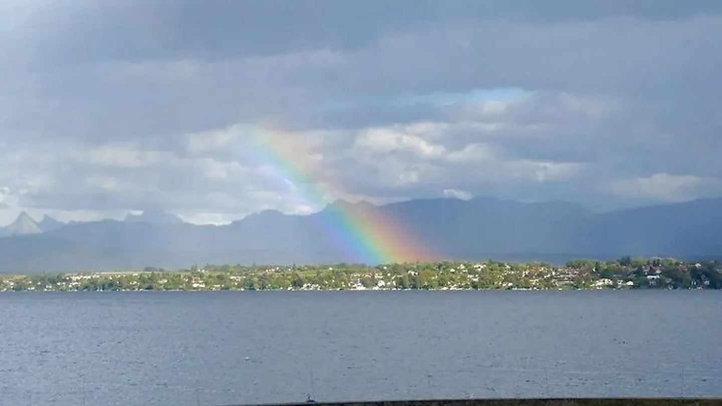 APPARTEMENT 2½ PIÈCES À VERSOIX (GE), MEUBLÉ - Photo 7 sur 9