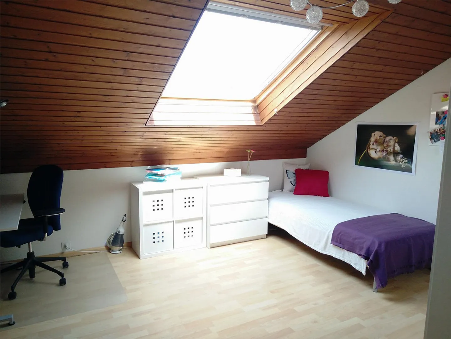 3.5 Room Attic Apartment - Photo 12 of 15