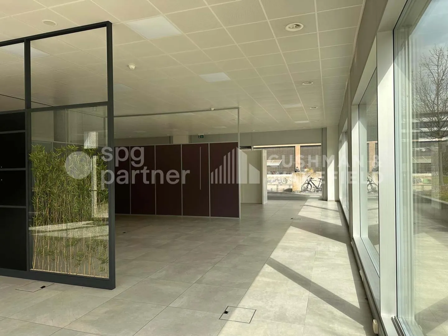 Skylab - Photo 3 of 4