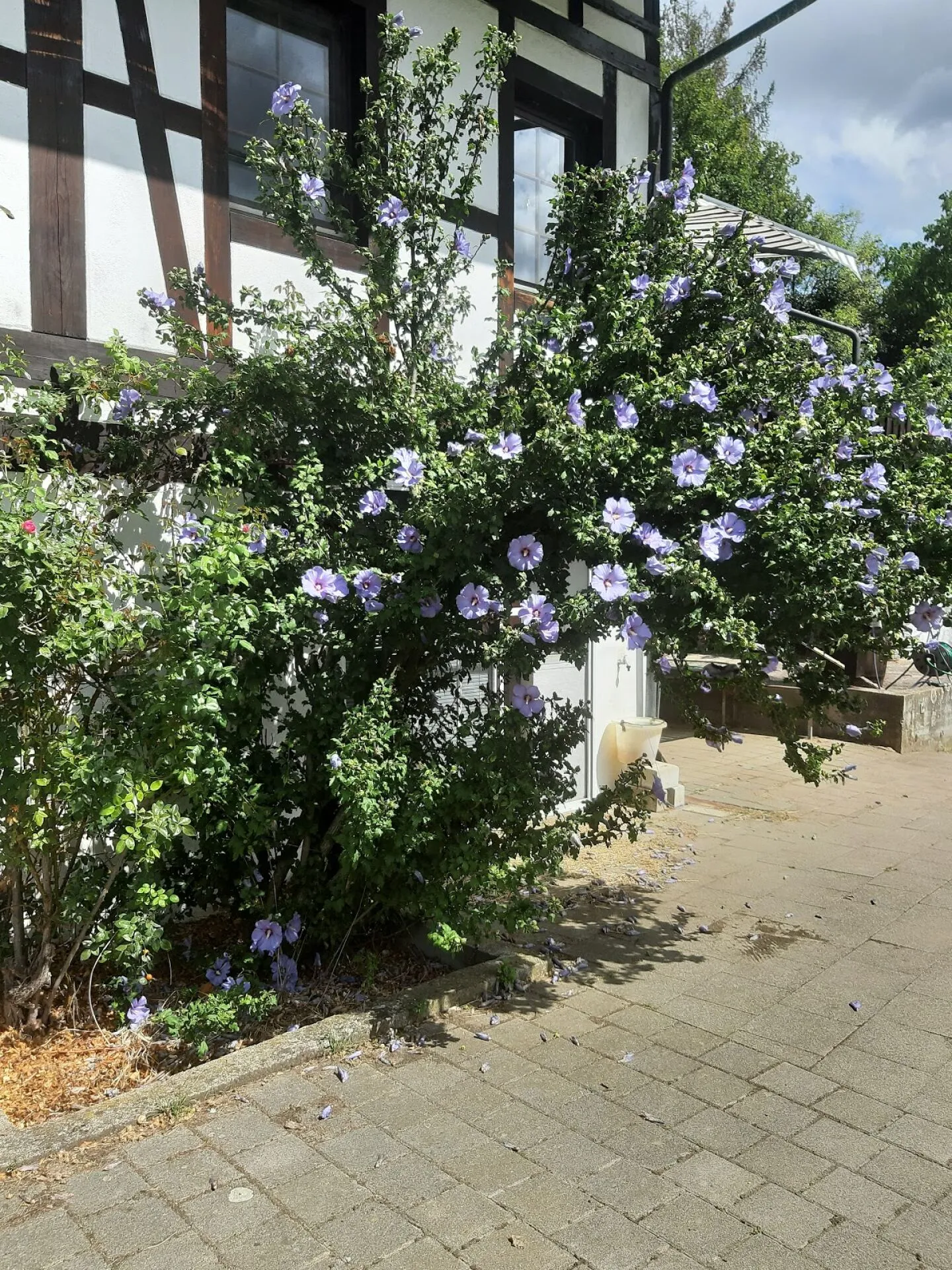 Beuernhaus avec zone de loisirs sports équestres - Photo 7 sur 44