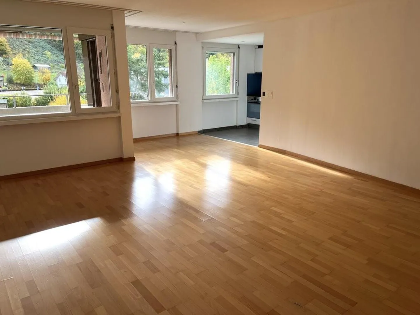 3.5 Room Apartment for Rent in a Quiet Location - Photo 4 of 6