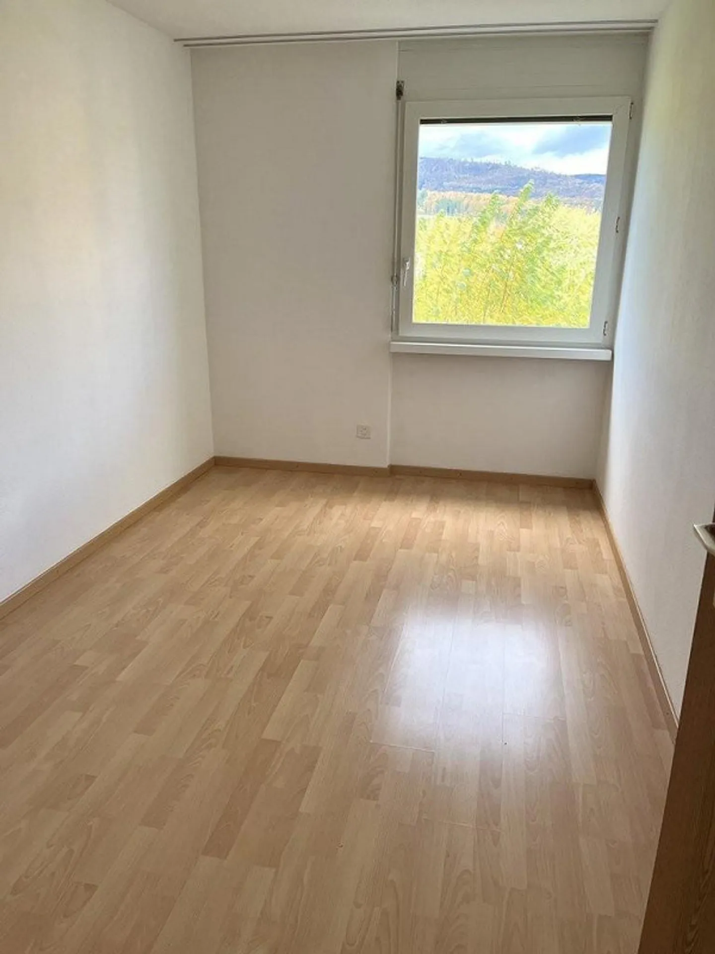 3.5 Room Apartment for Rent in a Quiet Location - Photo 6 of 6