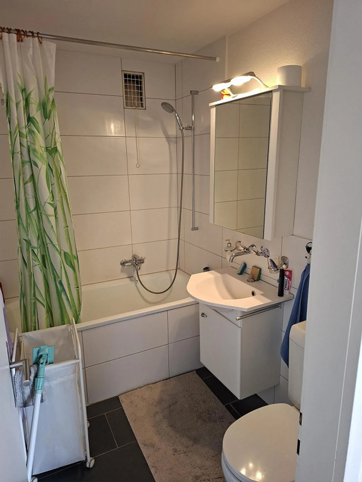 sonnige 3 Zi-WG mit zwei Balkonen im Dorfkern von Oberwinterthur - Foto 6 von 7