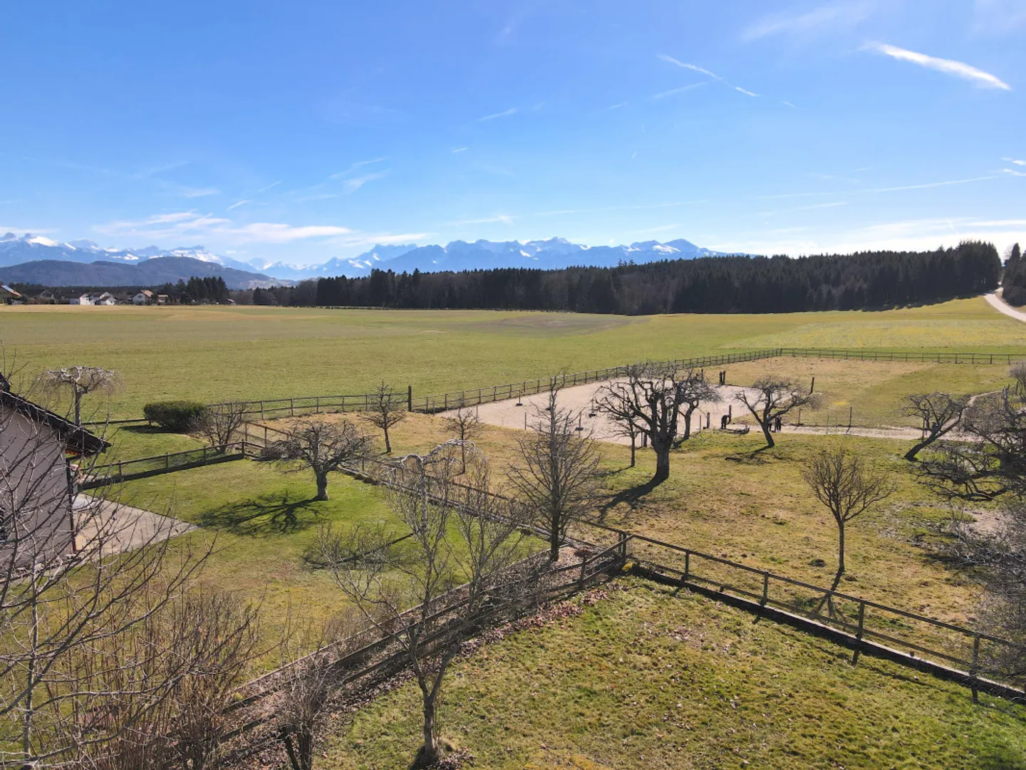 Villa a schiera di 5,5 stanze - Foto 3 di 8