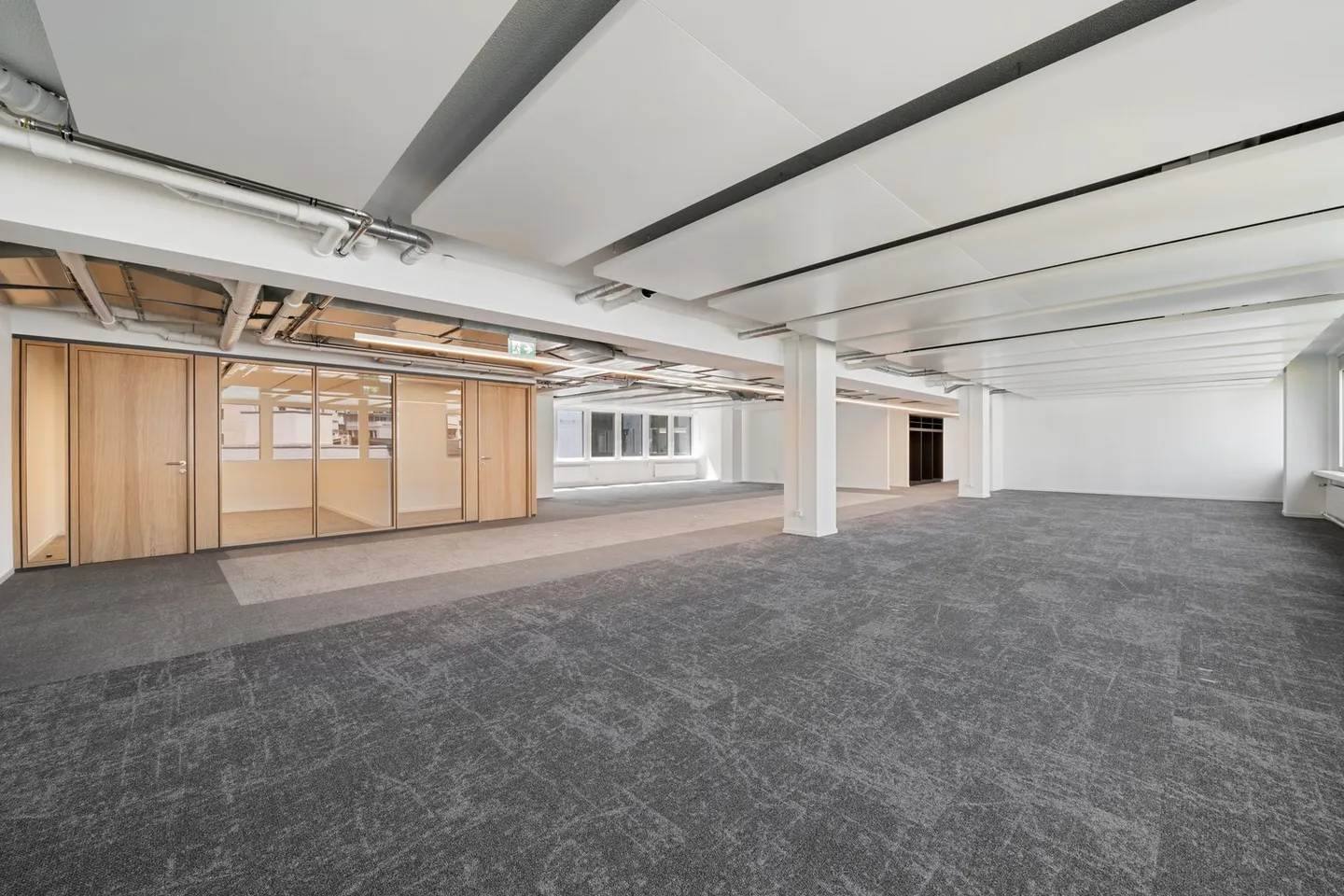 Baslerpark - affari come al solito - Foto 8 di 12