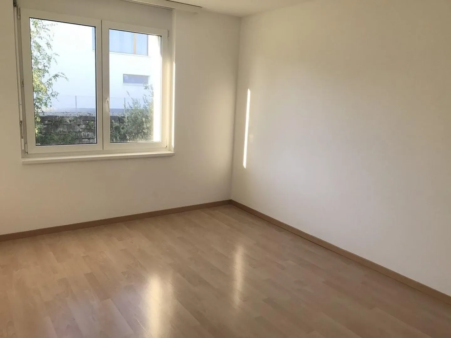 Bright and spacious apartment with lake view - Photo 8 of 12