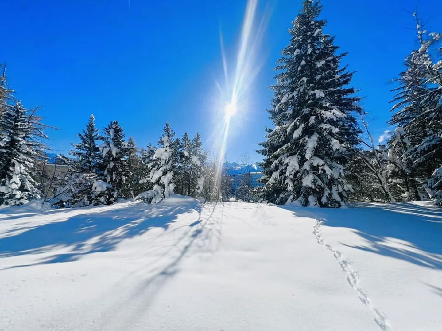 Bel monolocale parzialmente ristrutturato - Spazioso e luminoso - Luogo molto tranquillo - Bene - Foto 8 di 12