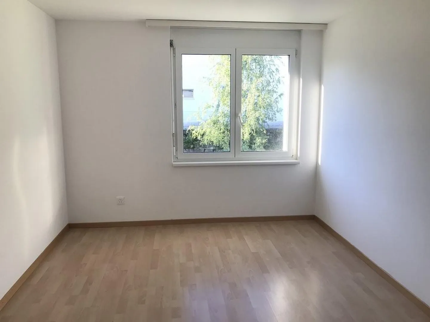 Bright and spacious apartment with lake view - Photo 7 of 12
