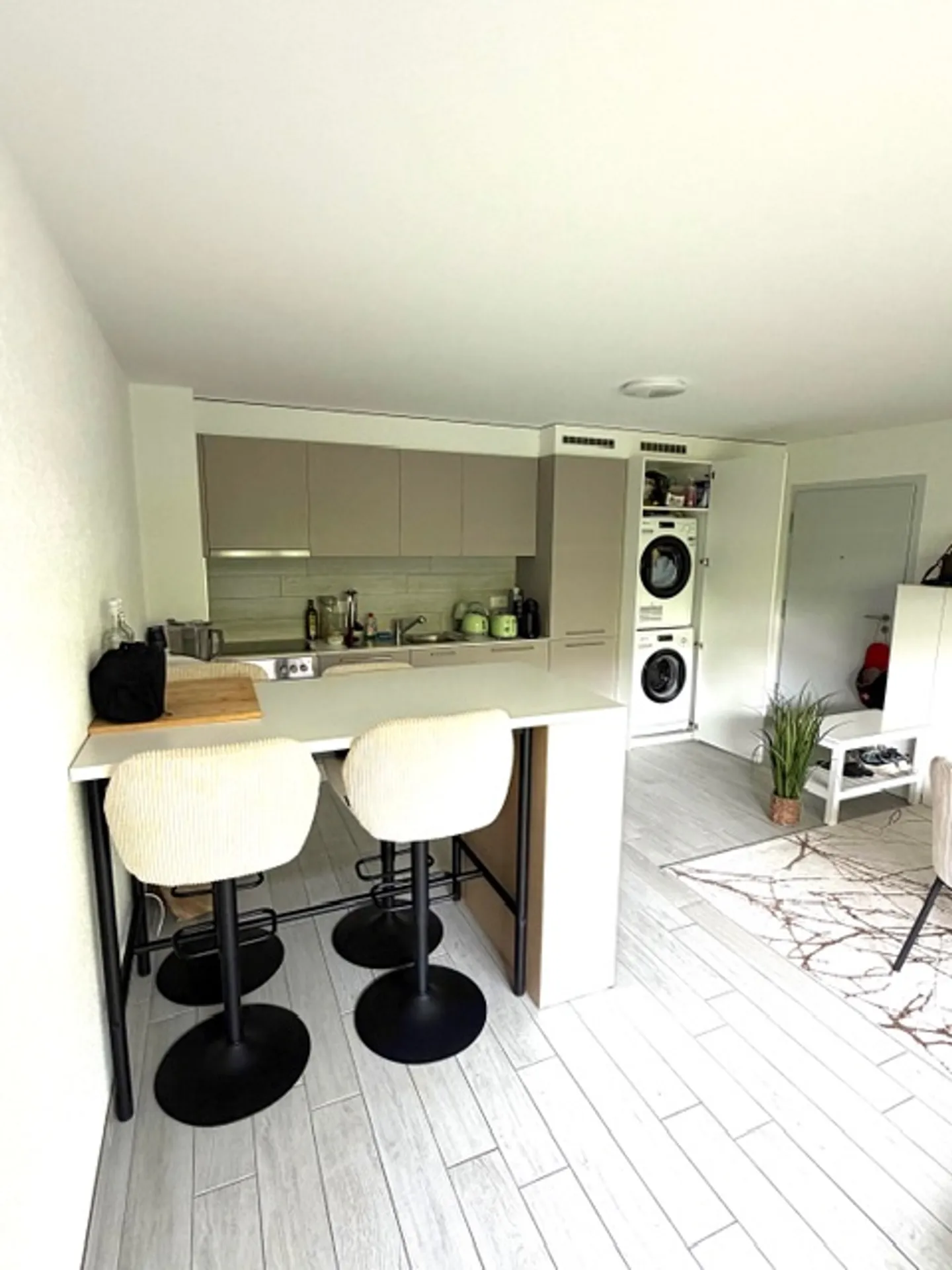 2.5 Room Apartment - Photo 2 of 6