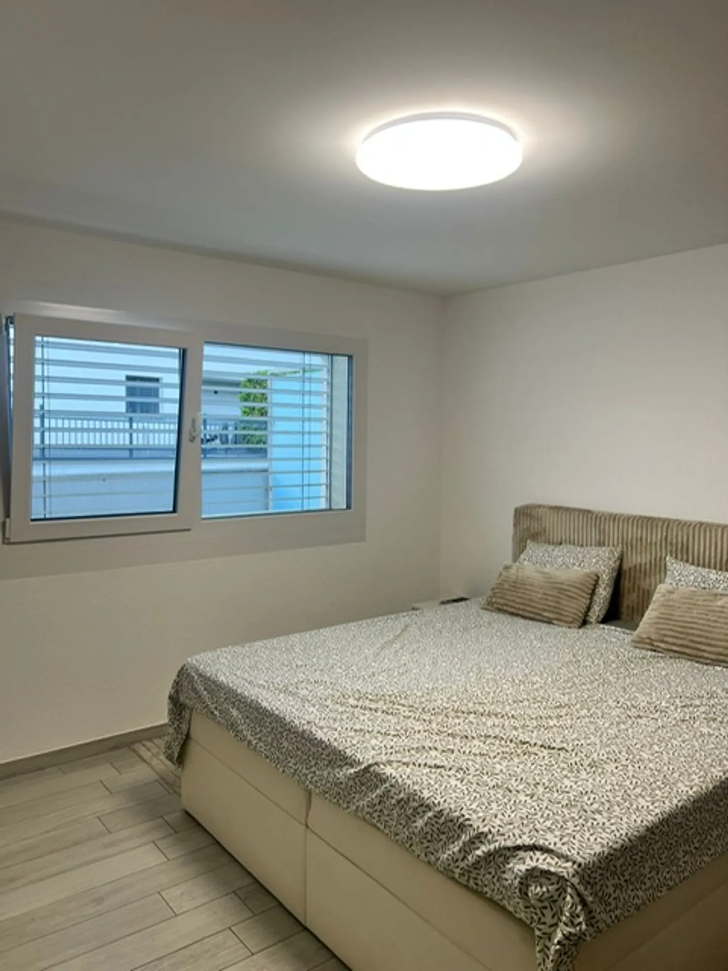 2.5 Room Apartment - Photo 4 of 6