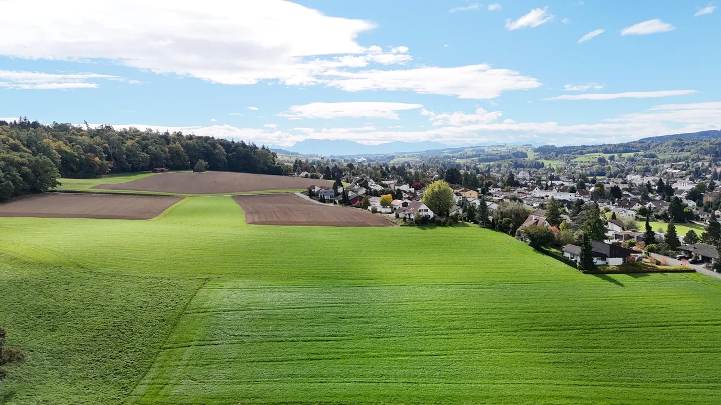 NUOVA COSTRUZIONE: Esclusivo appartamento con terrazza di 4,5 stanze - Foto 4 di 8