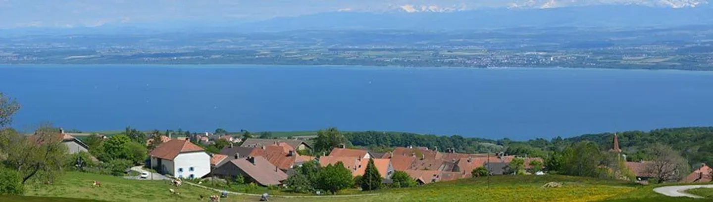 Wohnung: Grüne Oase im Dorf - Foto 1 von 6
