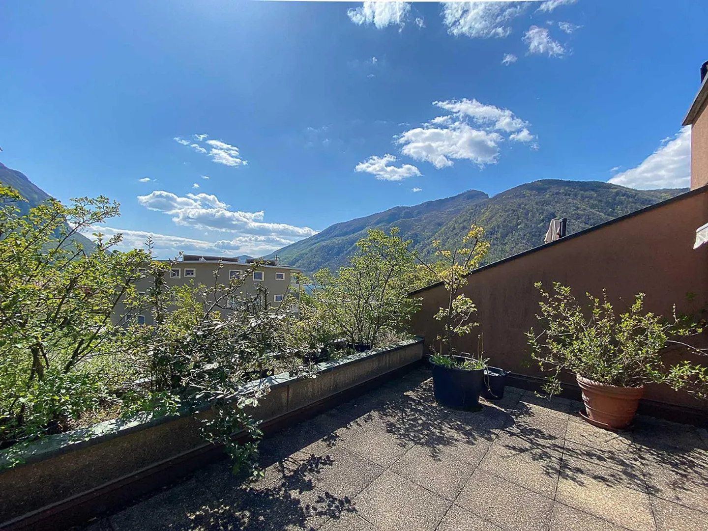 Spaziosa casa gemella con giardino - Foto 11 di 19