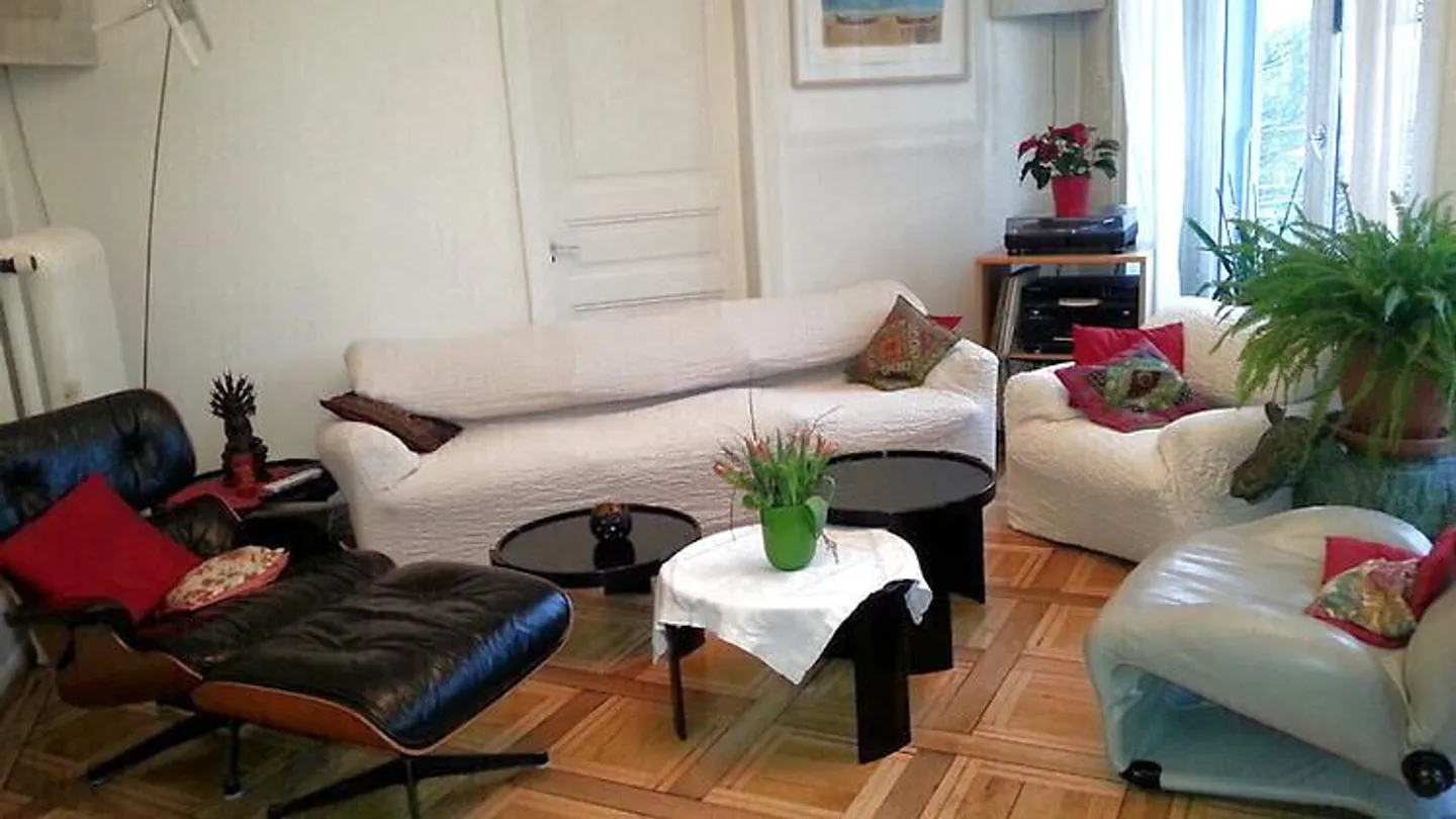 6-room apartment in Lucerne, furnished, temporary - Photo 2 of 11