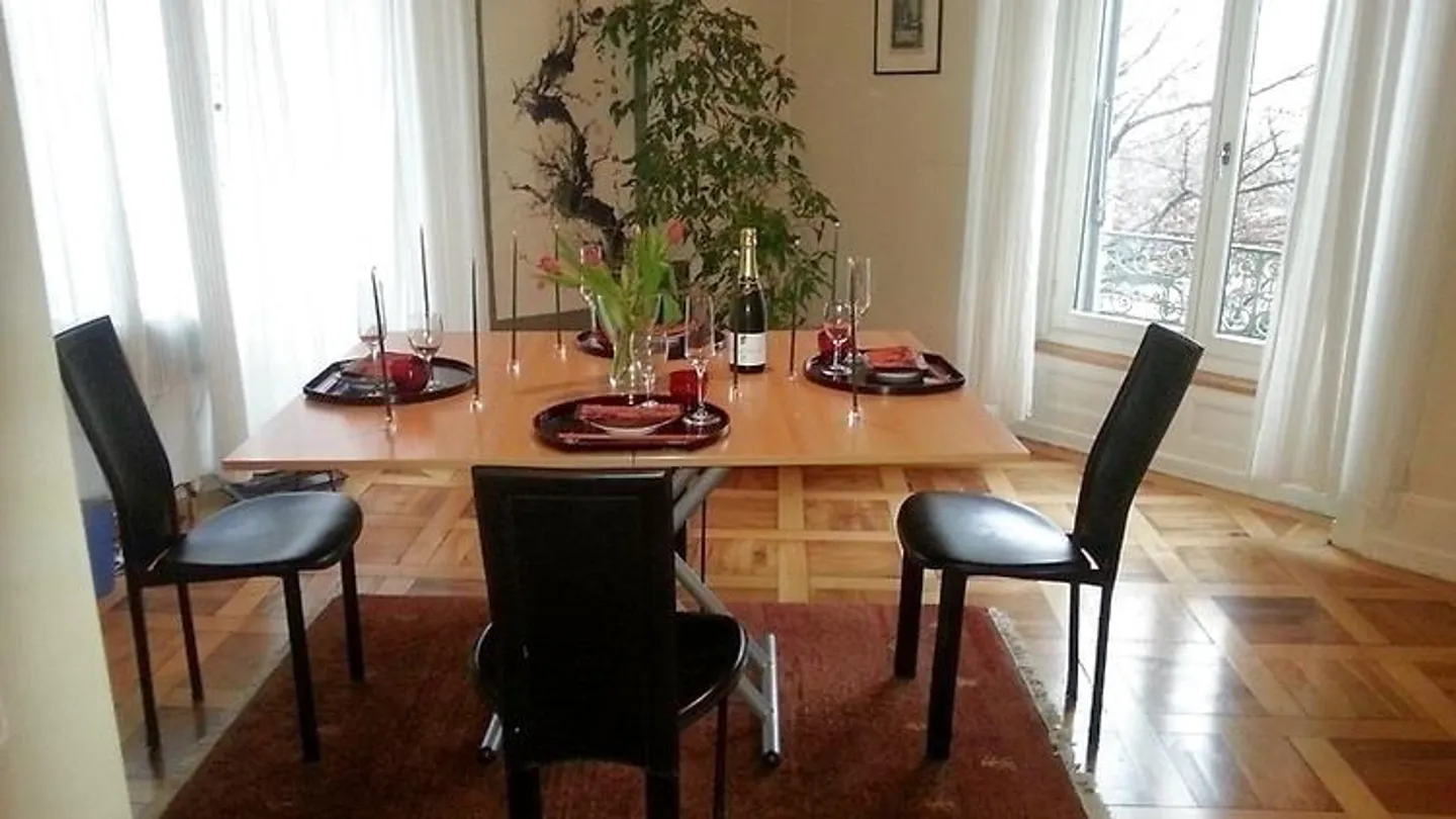 6-room apartment in Lucerne, furnished, temporary - Photo 5 of 11