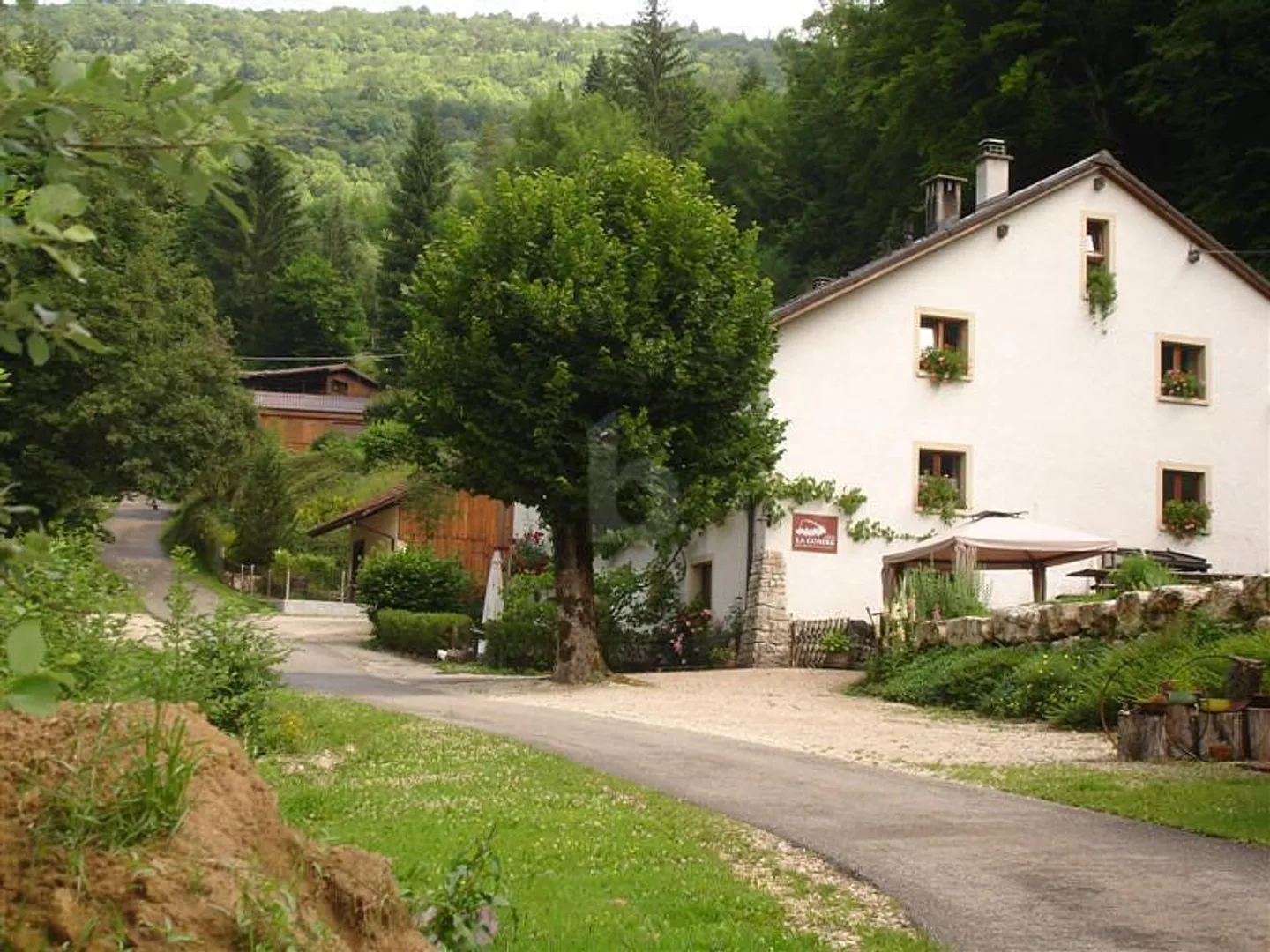 LOVERS OF NATURE - Photo 1 of 6