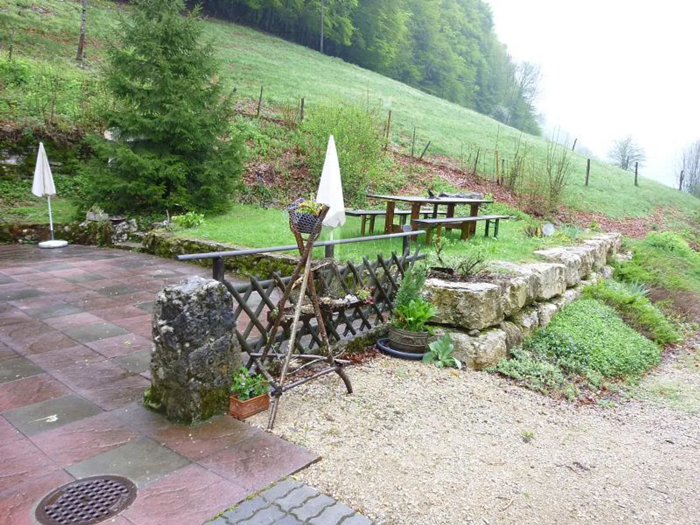 LOVERS OF NATURE - Photo 2 of 6