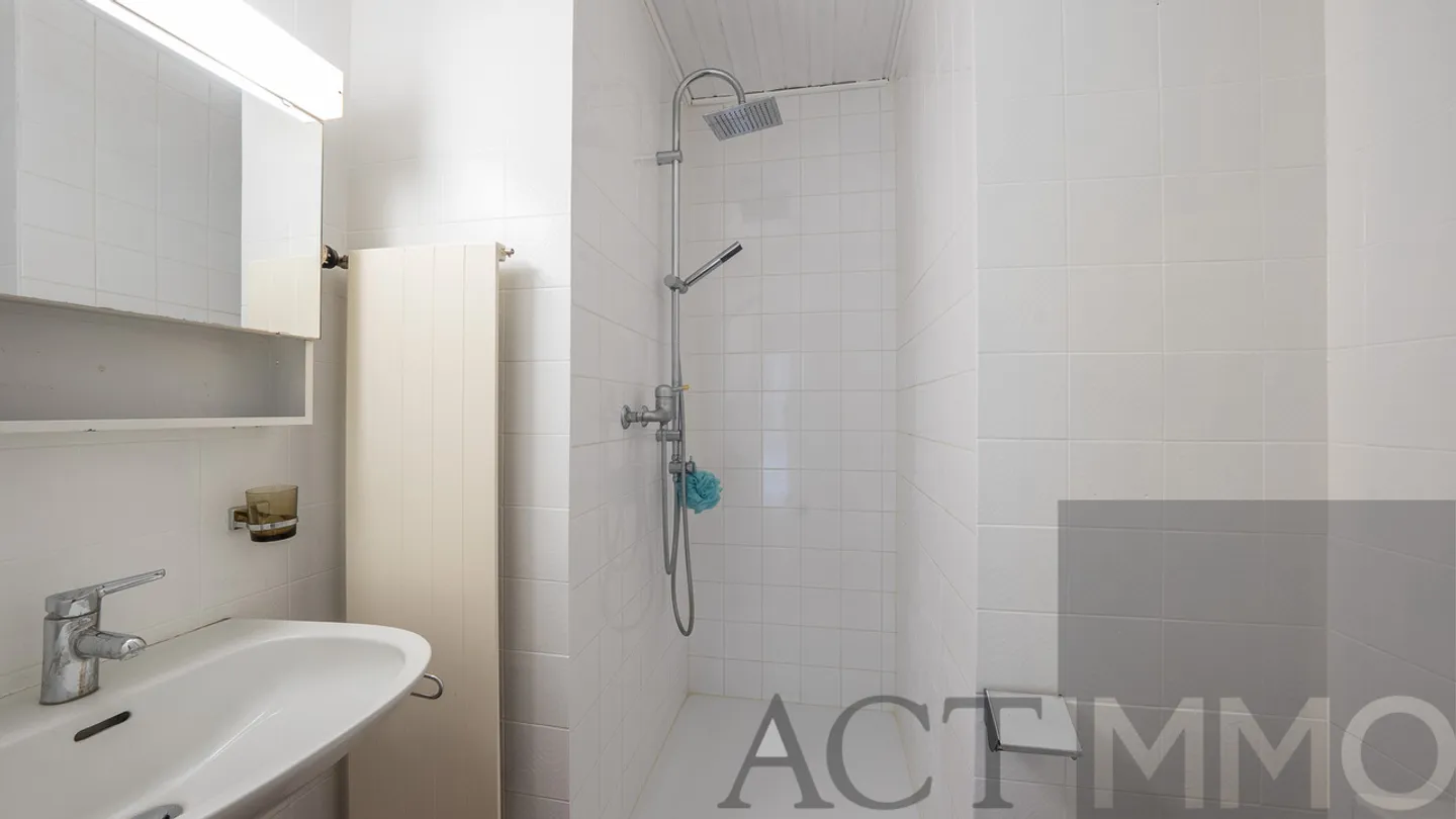 Beautiful four-bedroom house in Plan-les-Ouates - Photo 5 of 6