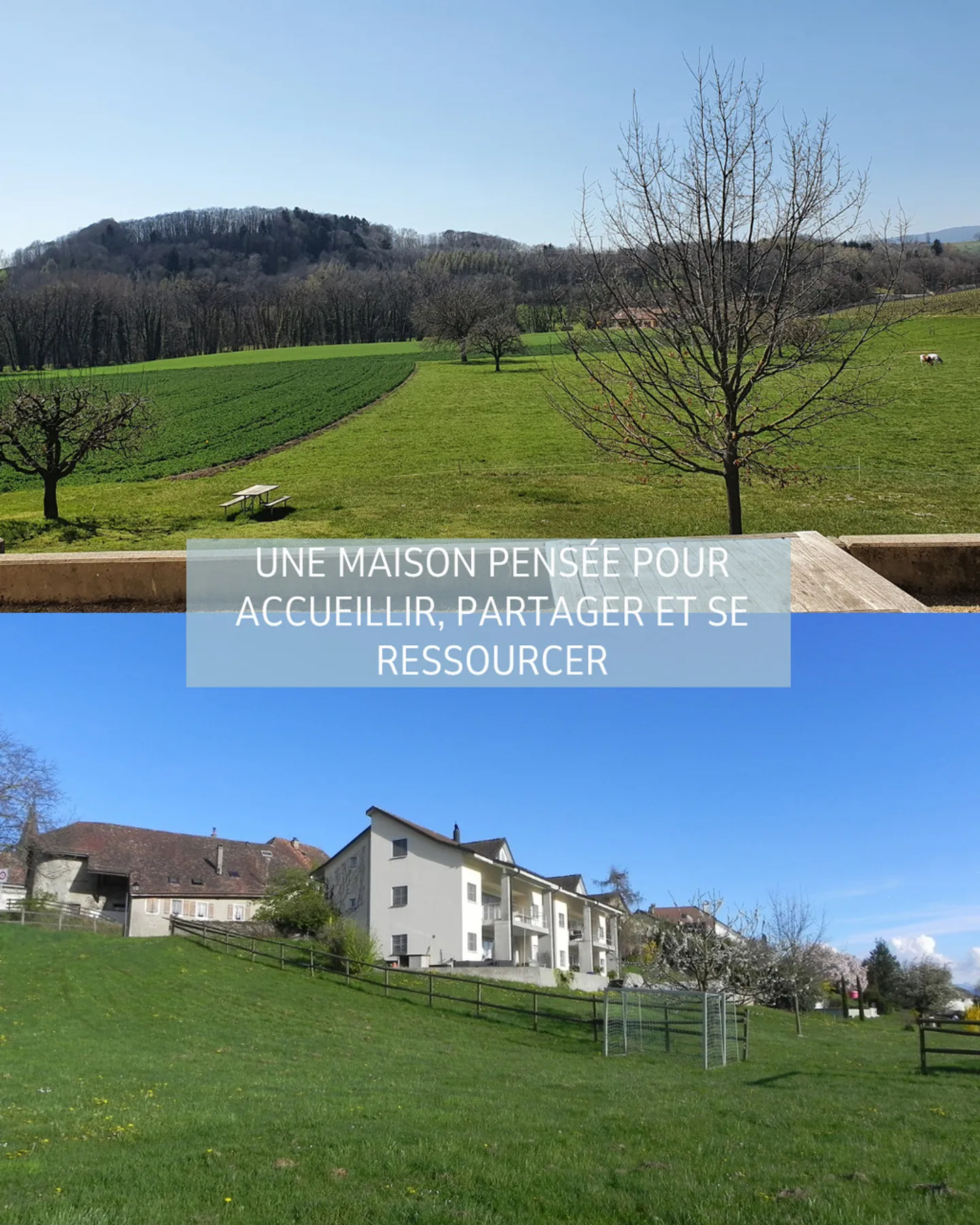 Row house for rent - Photo 5 of 9