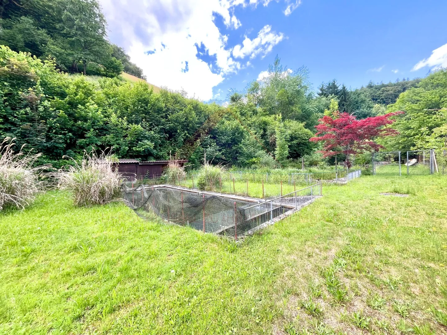 Naturparadies mit 7 Fischteichen - Einzigartige Freizeit- und Fischzuchtimmobilie in Gränichen - Foto 4 von 11