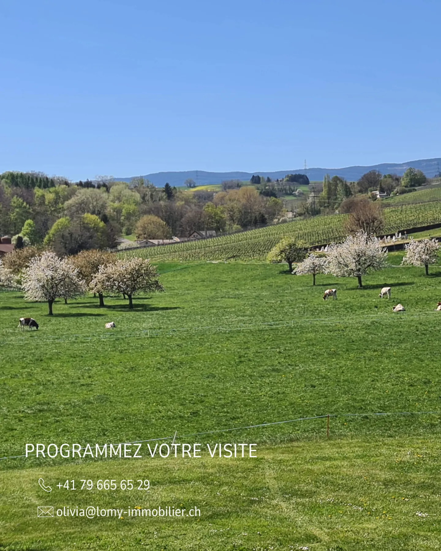 Row house for rent - Photo 9 of 9