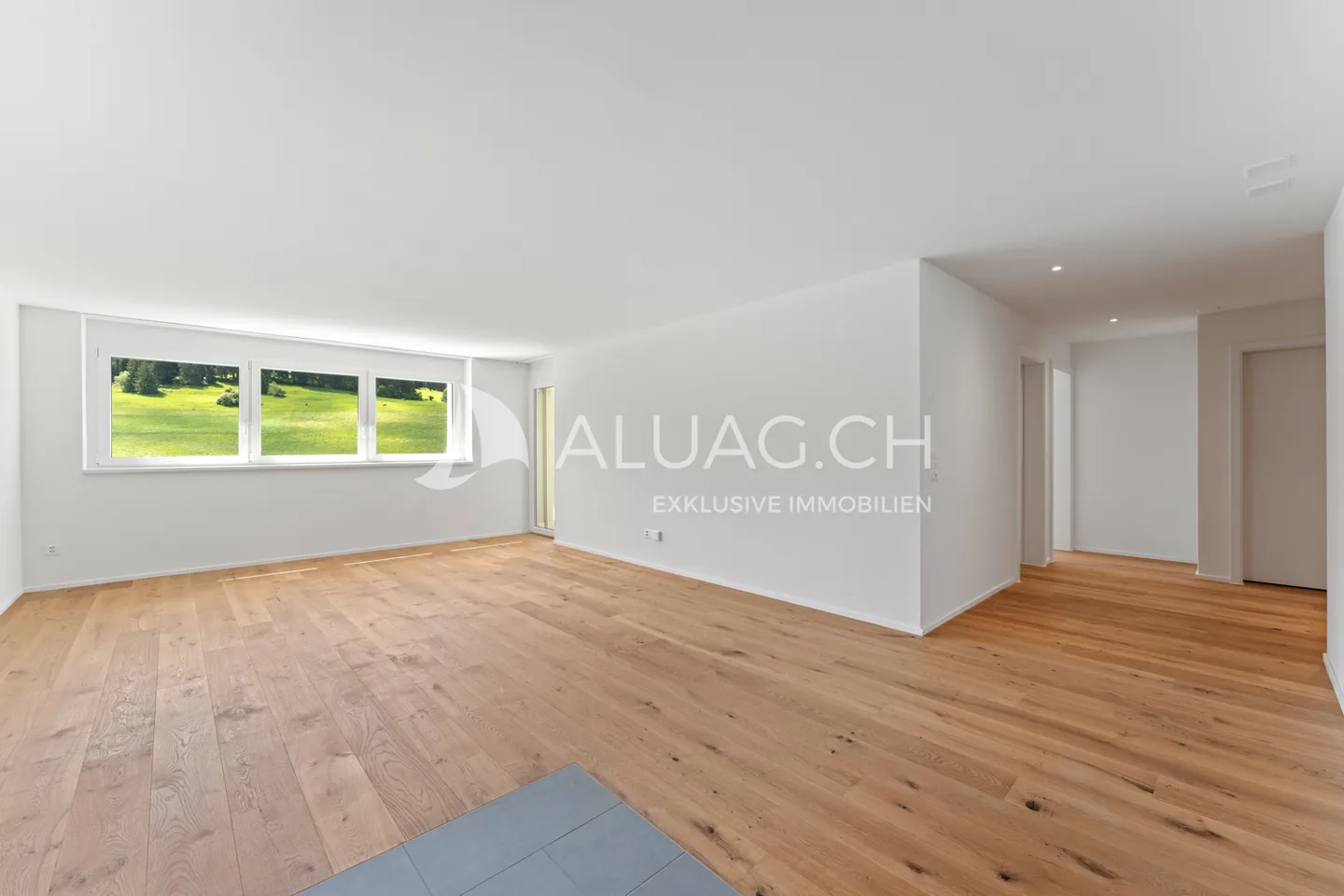 Modern Apartment with Terrace - Photo 4 of 12