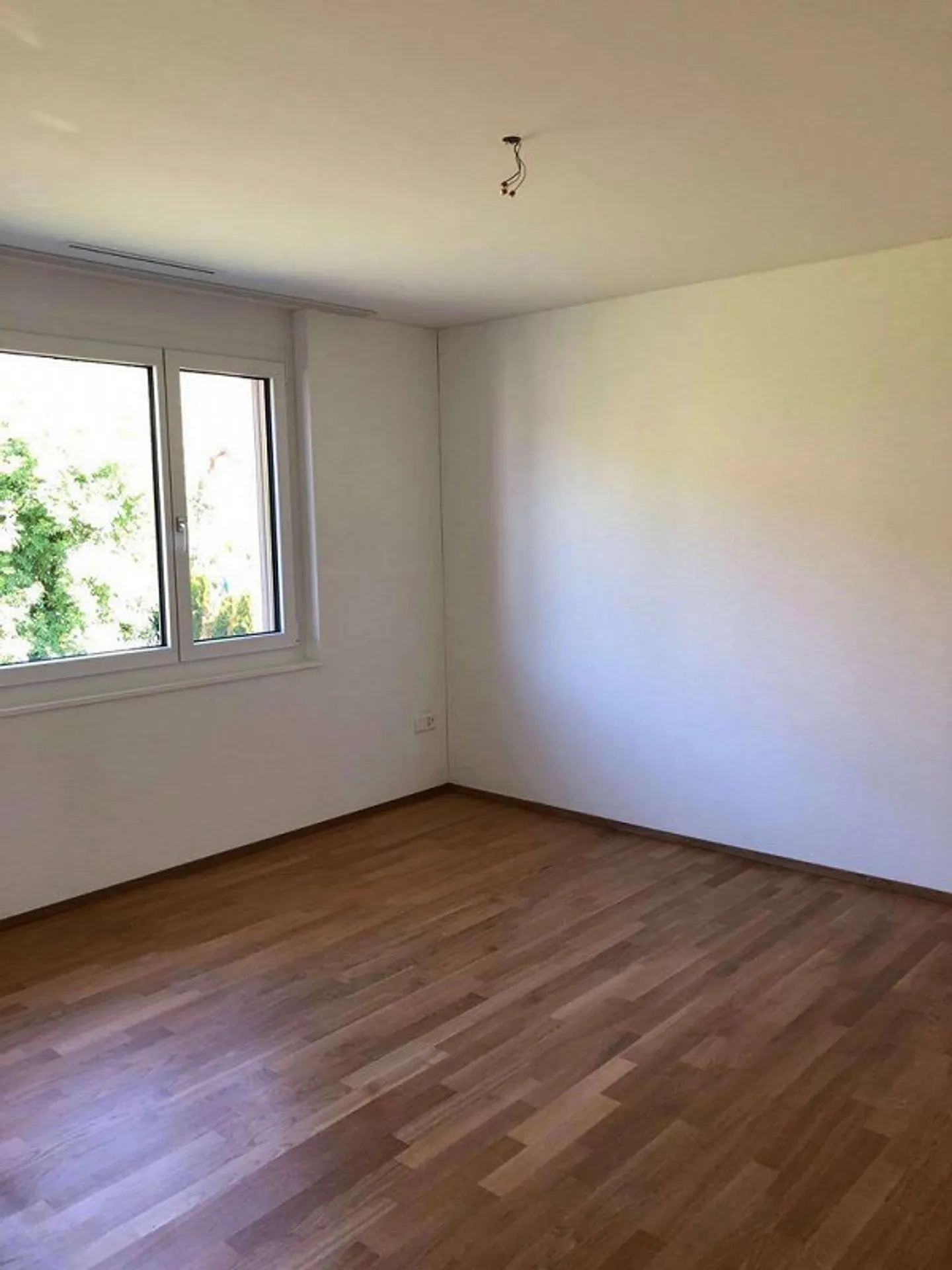 Benvenuti a Seerücken ... - Foto 7 di 10