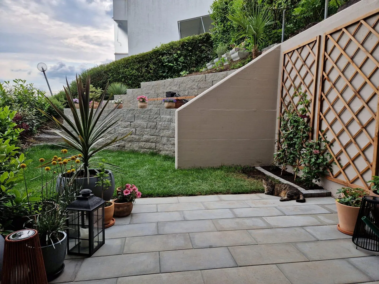 4.5 Zimmer Terrassenhaus mit 85qm Terrasse und Garten - Foto 20 von 22